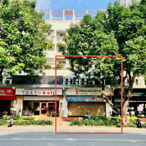 ♦️ CHO THUÊ SHOPHOUSE PARKVIEW - ĐƯỜNG NGUYỄN ĐỨC CẢNH, PHƯỜNG TÂN HƯNG, PHÚ MỸ HƯNG [DT 245M2]